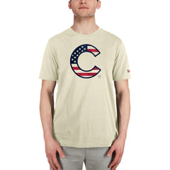 Chicago Cubs Americana Flag Fill T-Shirt Cream | New Era