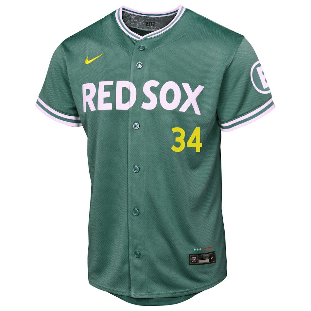 David Ortiz Boston Red Sox Youth 2025 City Connect Limited Retired Player Jersey Green | Nike