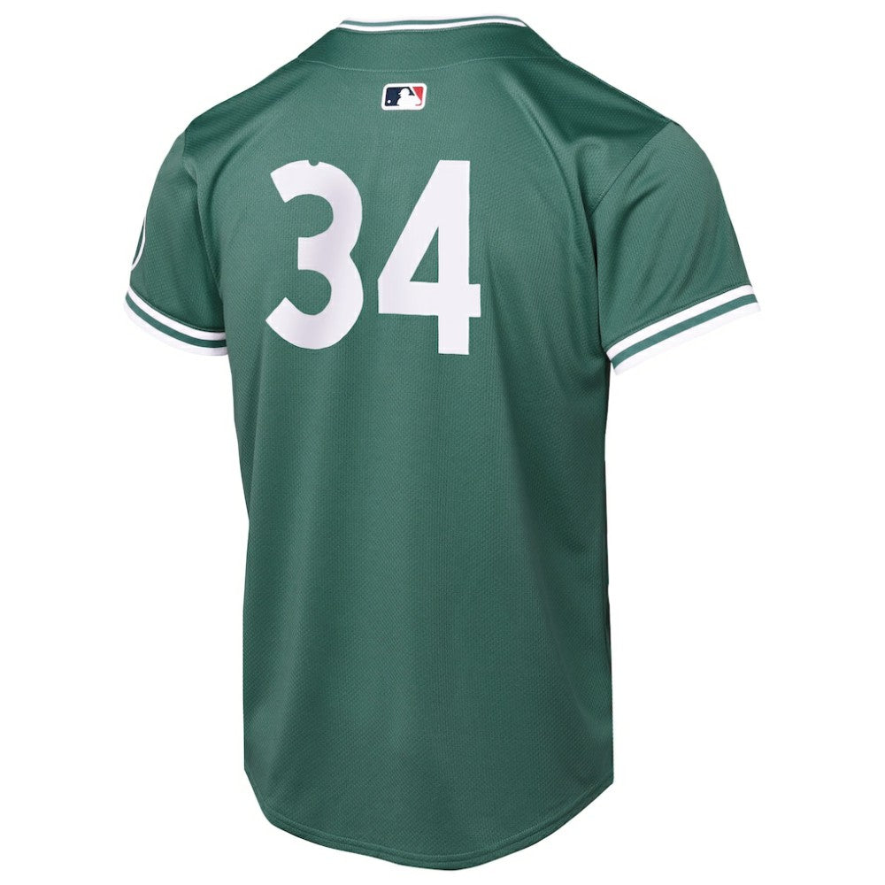 David Ortiz Boston Red Sox Youth 2025 City Connect Limited Retired Player Jersey Green | Nike