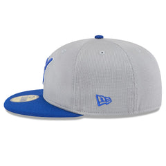 Milwaukee Brewers 2025 Batting Practice 59FIFTY Fitted Hat Gray/Royal | New Era