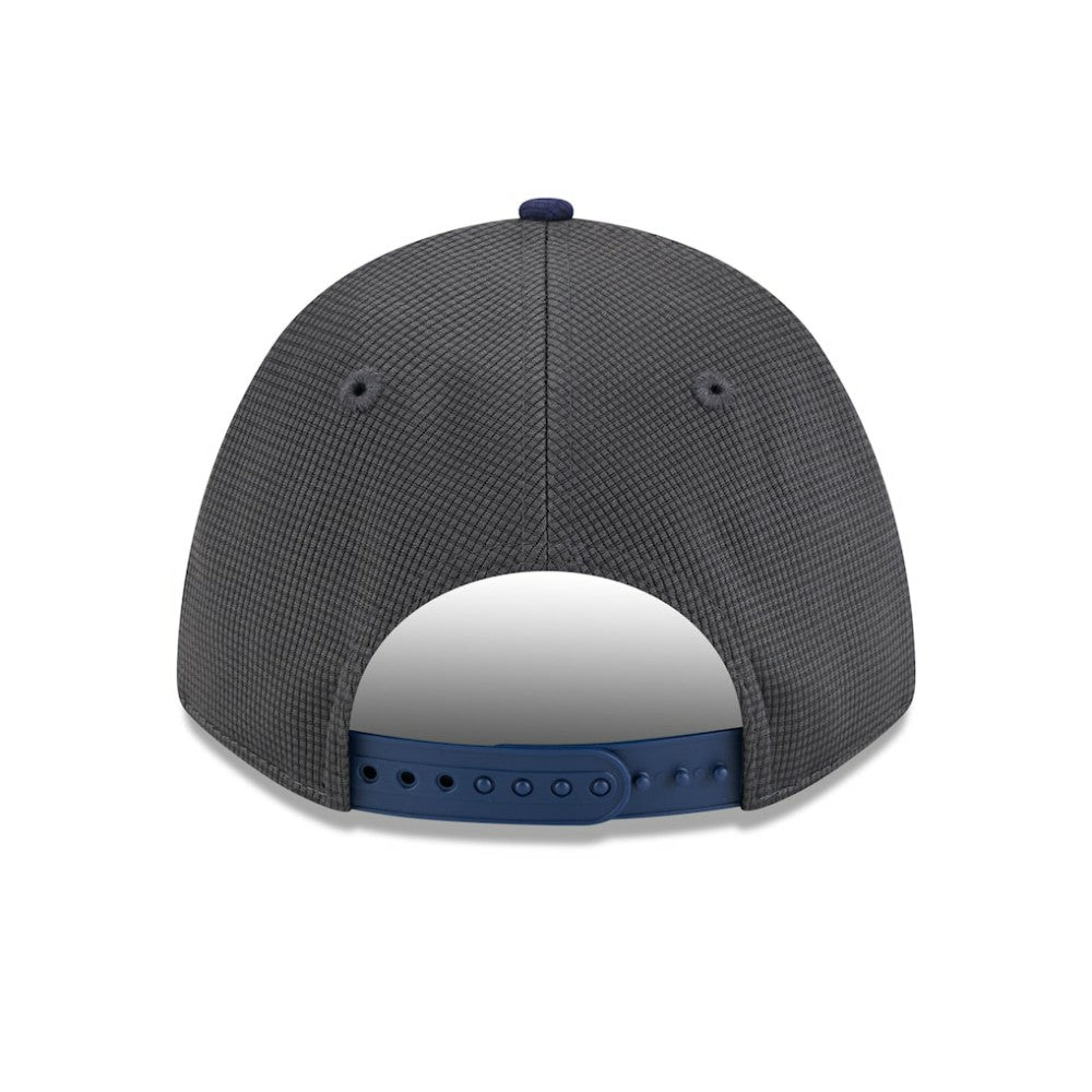 Houston Astros 2025 Batting Practice 9FORTY M-Crown Adjustable Hat Gray/Navy | New Era