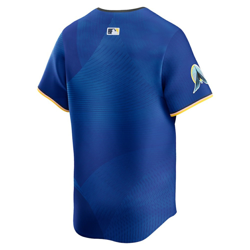 Minnesota Twins City Connect Limited Jersey Royal | Nike