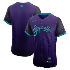 Arizona Diamondbacks 2025 City Connect Elite Jersey - Purple