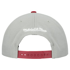 Philadelphia Phillies Cooperstown Collection Basic Flip Snapback Hat Gray | Mitchell & Ness