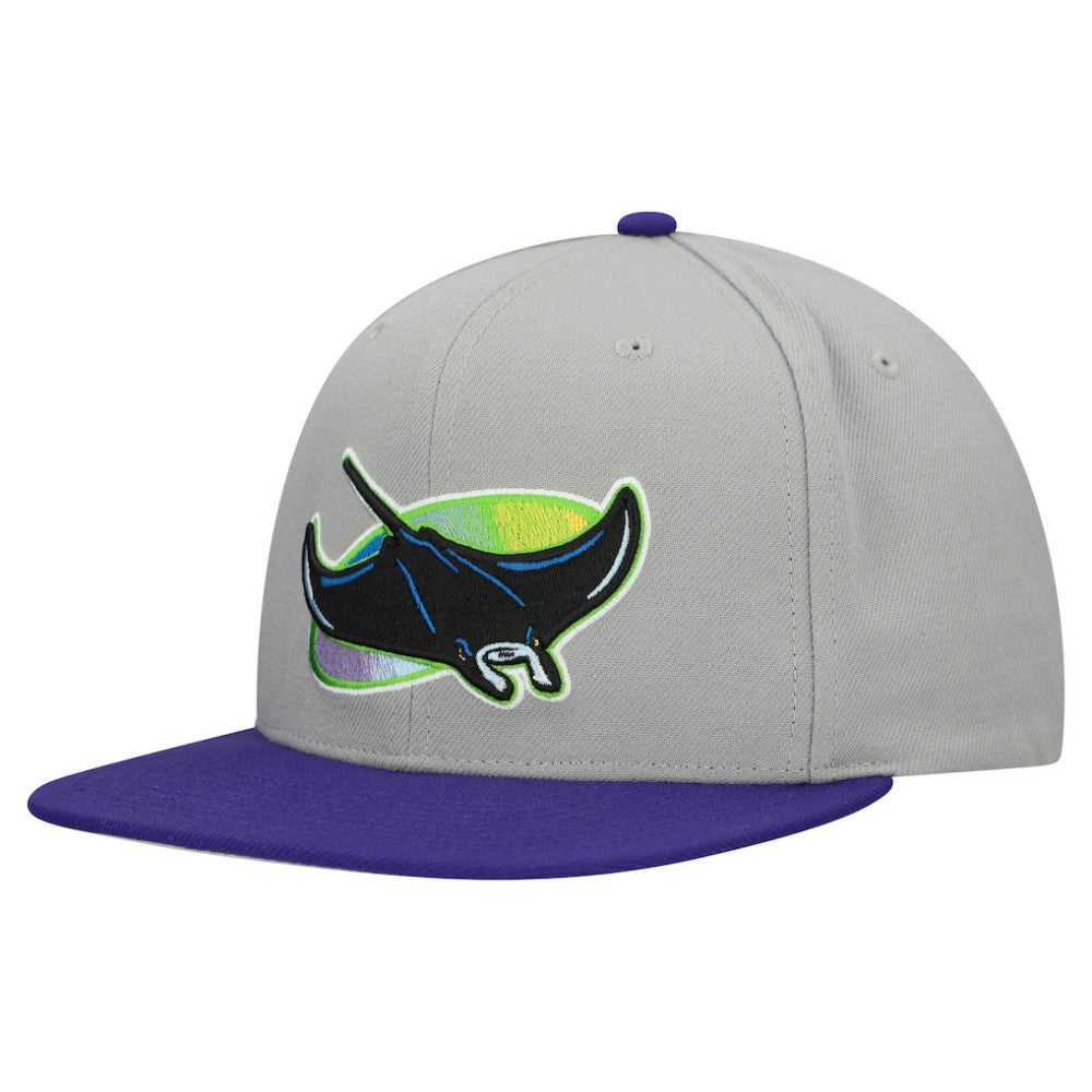 Tampa Bay Rays Cooperstown Collection Basic Flip Snapback Hat Gray | Mitchell & Ness