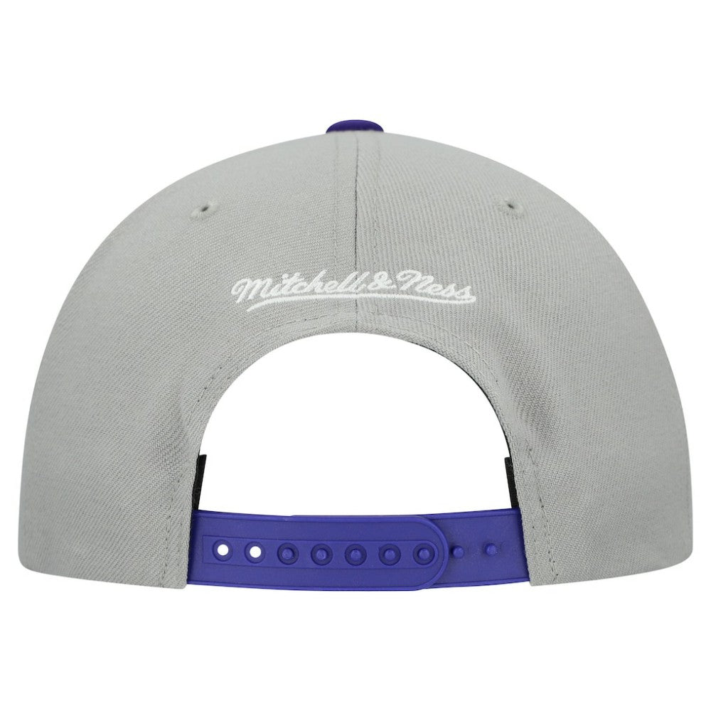Tampa Bay Rays Cooperstown Collection Basic Flip Snapback Hat Gray | Mitchell & Ness