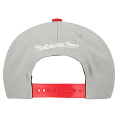 Boston Red Sox Cooperstown Collection Basic Flip Snapback Hat Gray | Mitchell & Ness