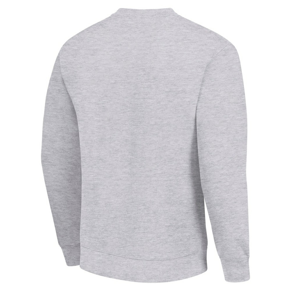 Colorado Avalanche Men's Starter Team Logo Fleece Pullover Sweatshirt Heather Gray
