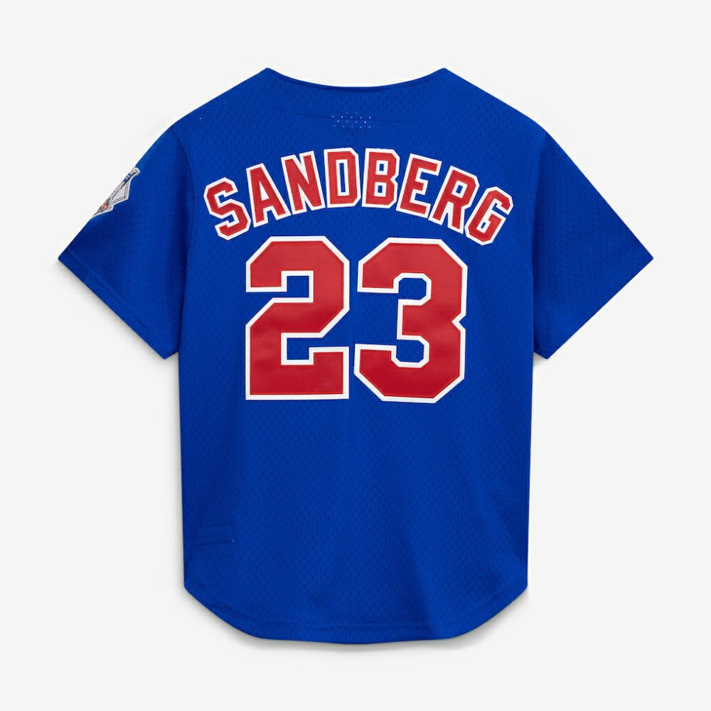 Ryne Sandberg Chicago Cubs Cooperstown Collection 1997 Mesh Batting Practice Button-Up Jersey Royal | Mitchell & Ness
