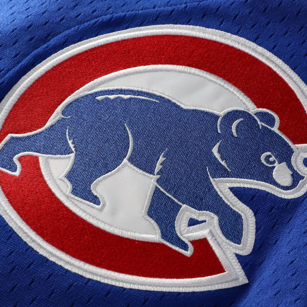 Ryne Sandberg Chicago Cubs Cooperstown Collection 1997 Mesh Batting Practice Button-Up Jersey Royal | Mitchell & Ness