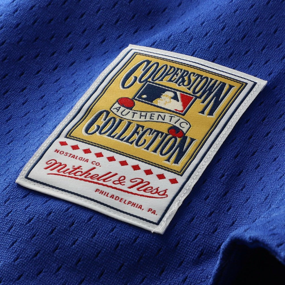 Ryne Sandberg Chicago Cubs Cooperstown Collection 1997 Mesh Batting Practice Button-Up Jersey Royal | Mitchell & Ness