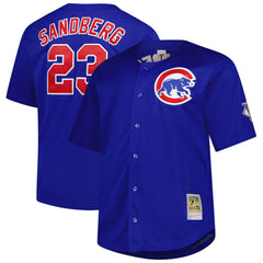 Ryne Sandberg Chicago Cubs Big & Tall Cooperstown Mesh Batting Practice Jersey Royal | Mitchell & Ness