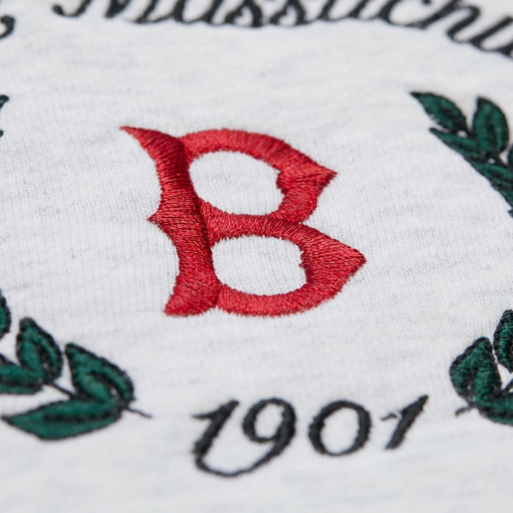 Boston Red Sox Women's Cropped Toggle Pullover Sweatshirt Heather Gray | Mitchell & Ness