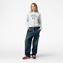 Houston Astros Women's Cropped Toggle Pullover Sweatshirt Heather Gray | Mitchell & Ness