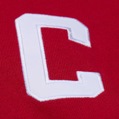Steve Yzerman Detroit Red Wings Mitchell & Ness 1997 Name & Number Premium Pullover Hoodie Scarlet