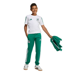 Mexico National Team Youth FIFA x World Cup Alphaskin Pants Green - Adidas