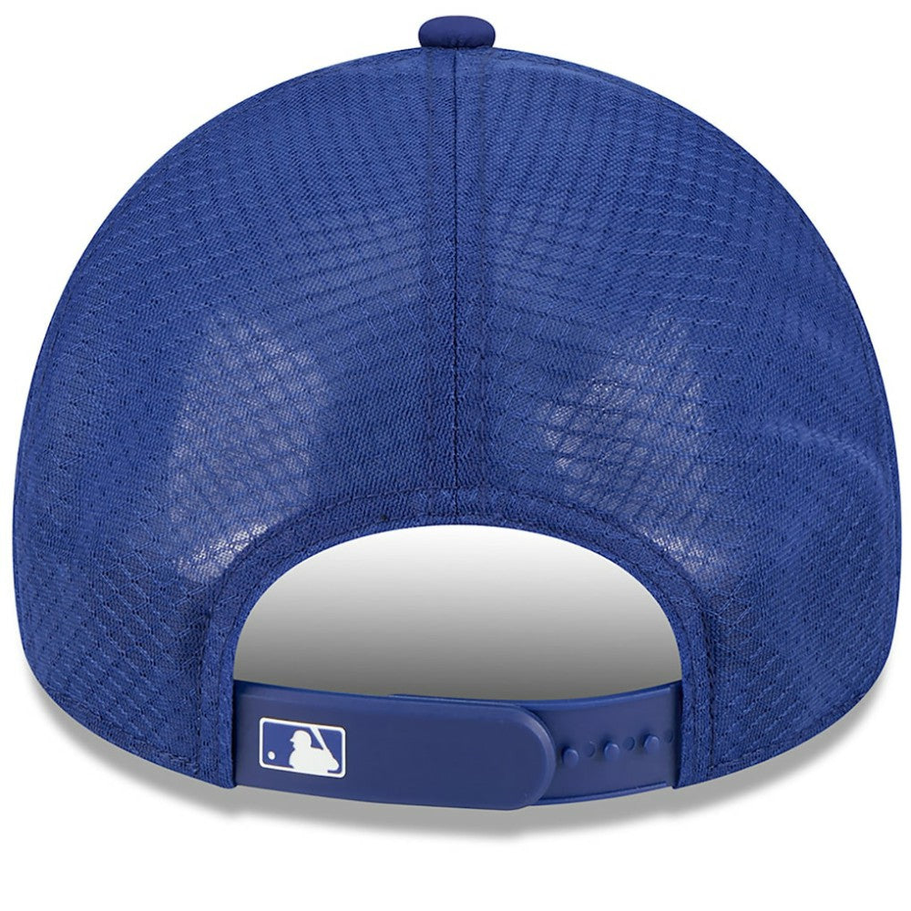 Texas Rangers 2026 Batting Practice Alternate Apex 9FORTY Adjustable Hat Royal | New Era