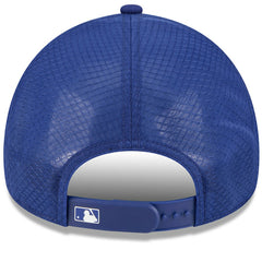 Texas Rangers 2026 Batting Practice Alternate Apex 9FORTY Adjustable Hat Royal | New Era