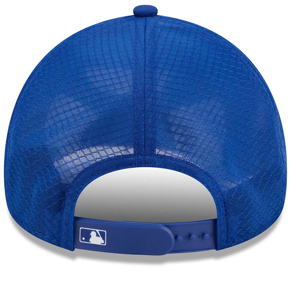 New York Mets 2026 Batting Practice Alternate Apex 9FORTY Adjustable Hat Royal | New Era