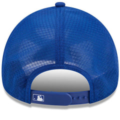 New York Mets 2026 Batting Practice Alternate Apex 9FORTY Adjustable Hat Royal | New Era