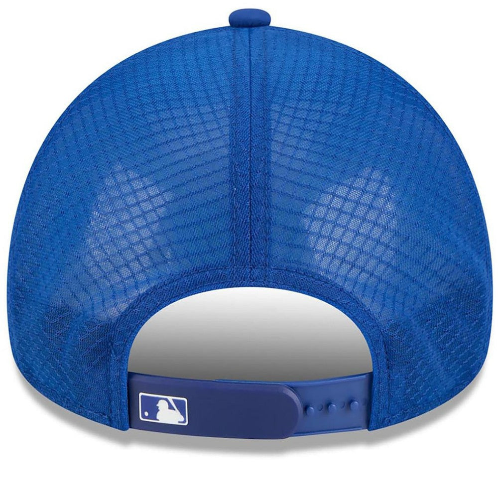 New York Mets 2026 Batting Practice Alternate Apex 9FORTY Adjustable Hat Royal | New Era