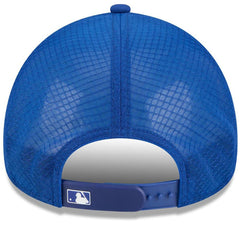 New York Mets 2026 Batting Practice Alternate Apex 9FORTY Adjustable Hat Royal | New Era