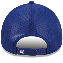 Los Angeles Dodgers 2026 Batting Practice Alternate Apex 9FORTY Adjustable Hat Royal | New Era