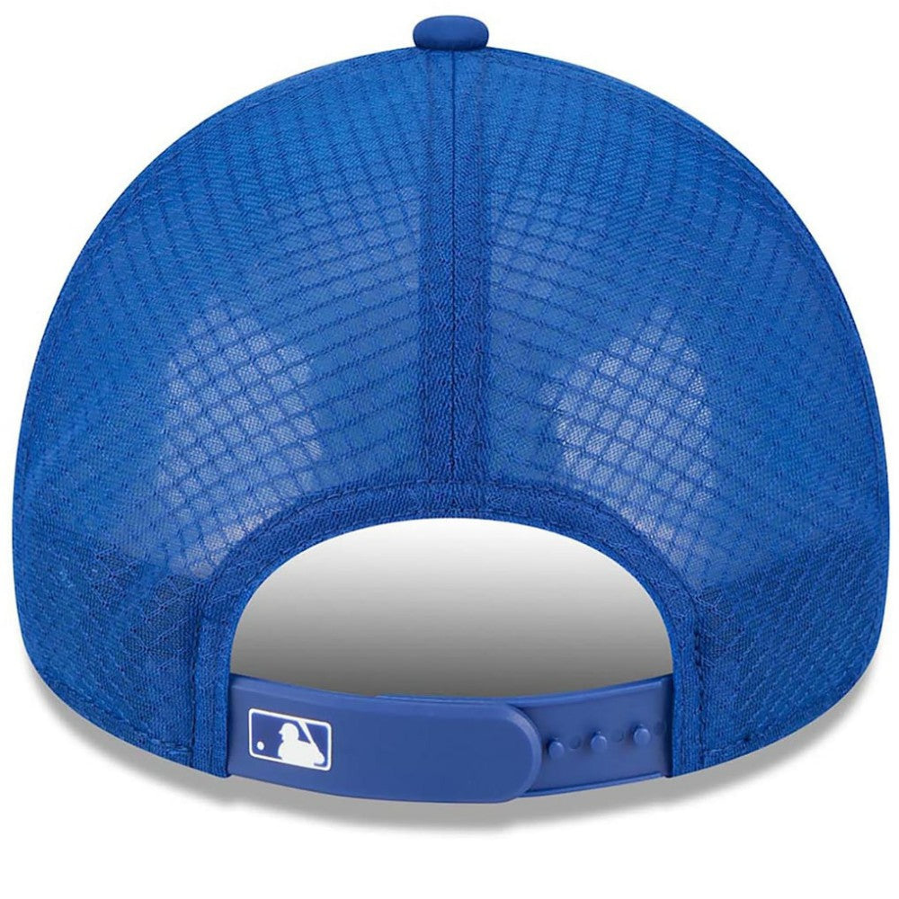 Atlanta Braves 2026 Batting Practice Alternate Apex 9FORTY Adjustable Hat Royal | New Era