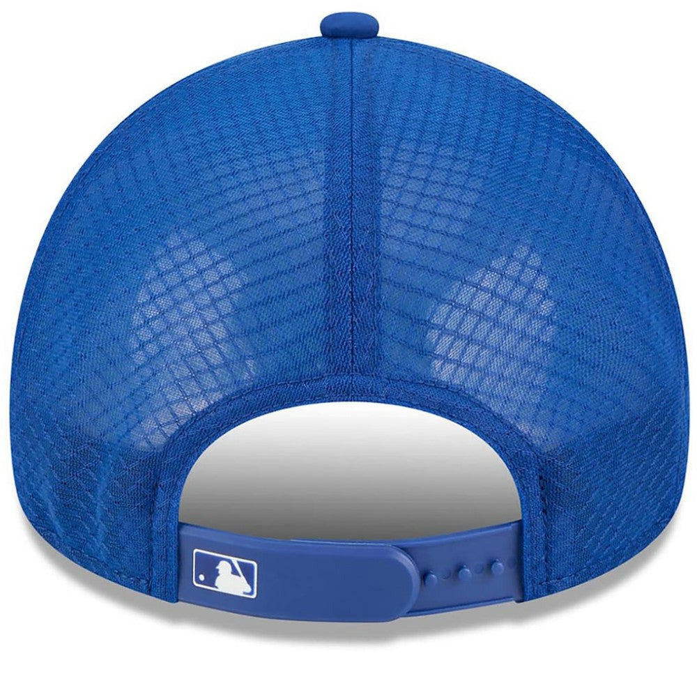 Chicago Cubs 2026 Batting Practice Alternate Apex 9FORTY Adjustable Hat Royal | New Era