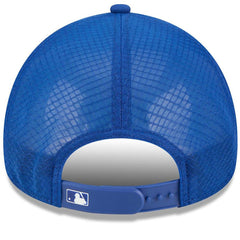 Chicago Cubs 2026 Batting Practice Alternate Apex 9FORTY Adjustable Hat Royal | New Era