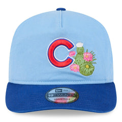 Chicago Cubs 2026 Spring Training 19TWENTY Adjustable Hat Light Blue/Royal | New Era