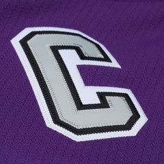 Los Angeles Kings Mitchell & Ness x Just Don Jersey Hoodie Purple