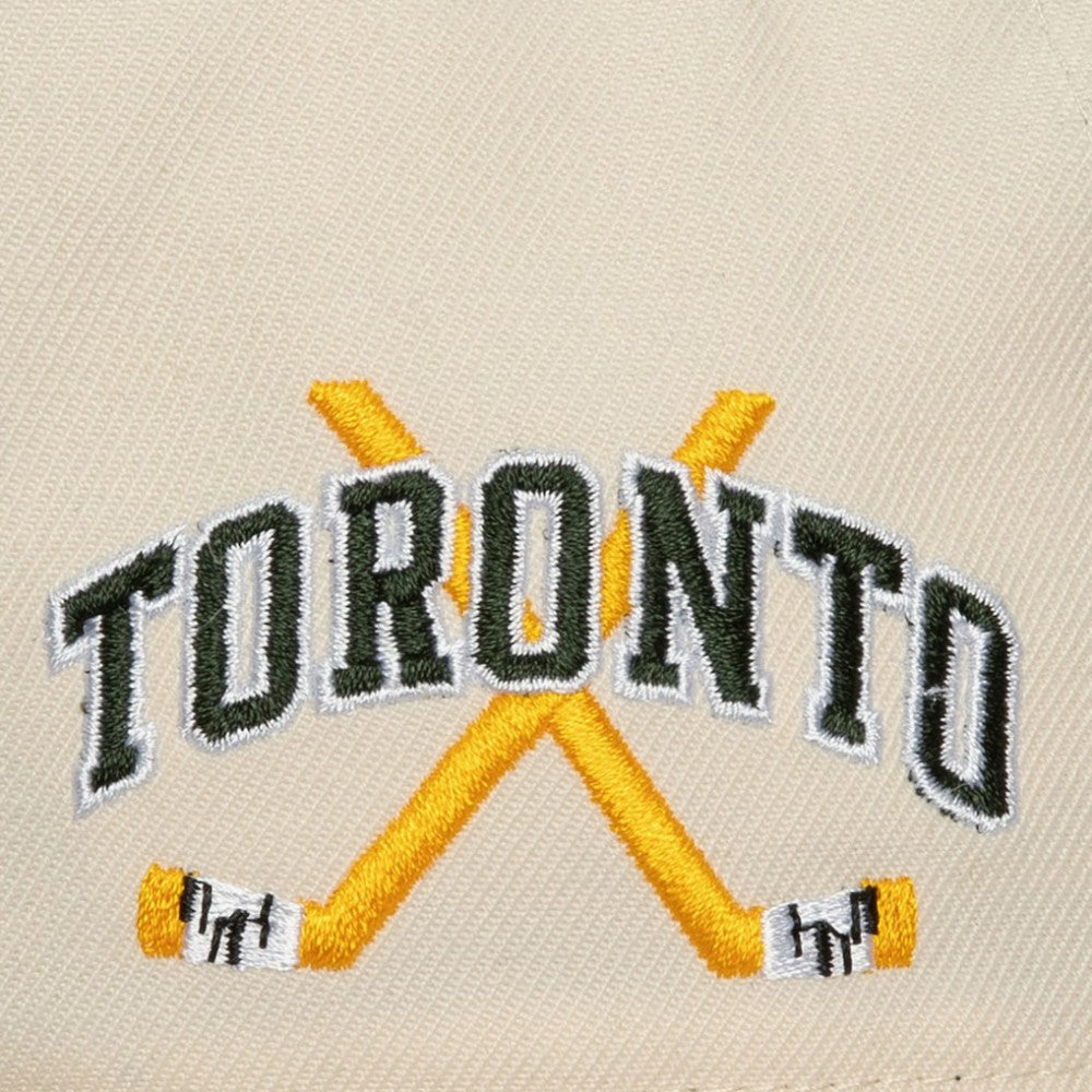 Toronto Maple Leafs Mitchell & Ness x Just Don Wave Script Pro Strapback Hat Cream/Green