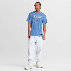 Chicago Cubs Authentic Collection Velocity Dri-FIT T-Shirt Light Blue | Nike