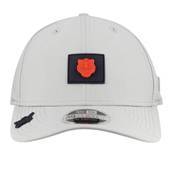 Detroit Tigers 2026 Clubhouse Alternate 39THIRTY Flex Hat Gray | New Era
