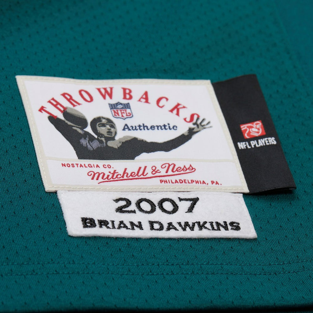 Brian Dawkins Philadelphia Eagles 2007 Authentic Throwback Retired Player Jersey - Green discount