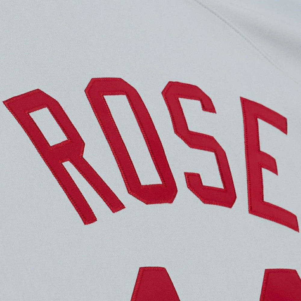 Pete Rose Cincinnati Reds 1976 Authentic Jersey Gray | Mitchell & Ness
