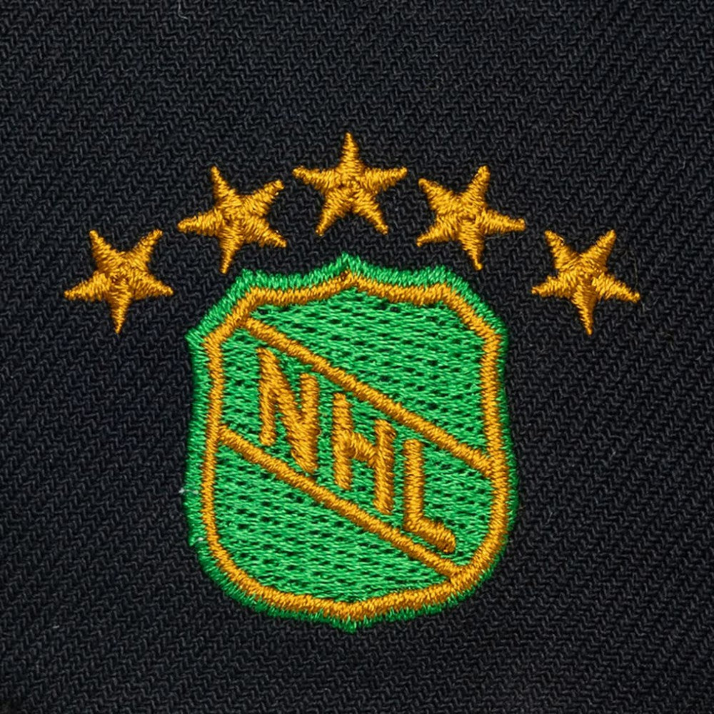 Dallas Stars Mitchell & Ness Legendary Away Snapback Hat Black