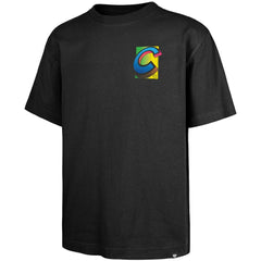 Chicago Cubs Sundale Foundation T-Shirt Black | 47 brand