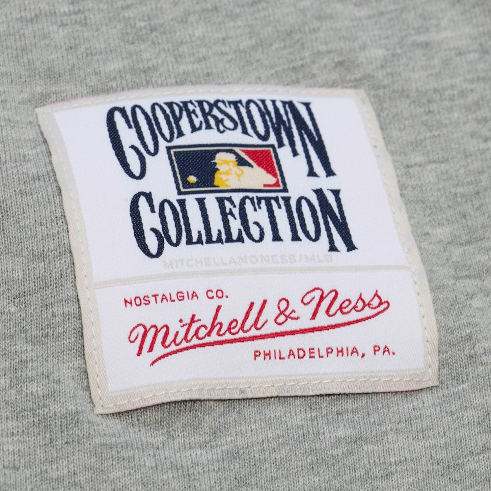 Ken Griffey Jr. Seattle Mariners Player Collection Premium T-Shirt Gray | Mitchell & Ness