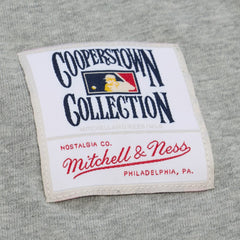 Ken Griffey Jr. Seattle Mariners Player Collection Premium T-Shirt Gray | Mitchell & Ness