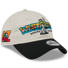 Chicago White Sox Youth 2026 Spring Training Fan Pack Batter 9TWENTY Adjustable Hat Stone/Black | New Era