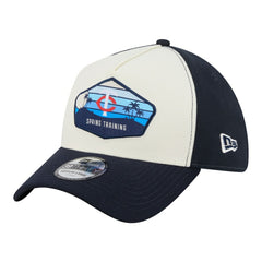 Minnesota Twins 2026 Spring Training Fan Pack Gradient 39THIRTY Flex Hat Stone | New Era