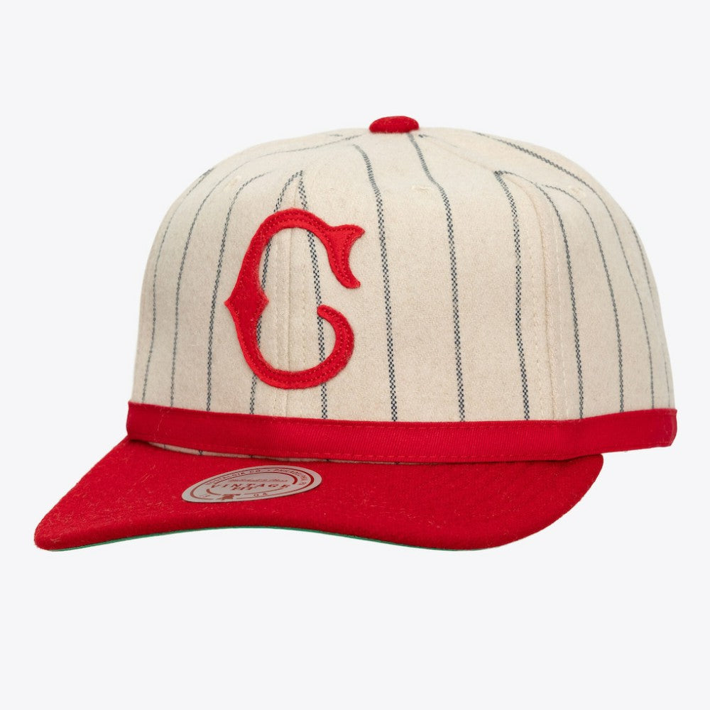 Cincinnati Reds Unisex Vintage Ground Melton Wool Pinstripe Adjustable Hat Cream | Mitchell & Ness