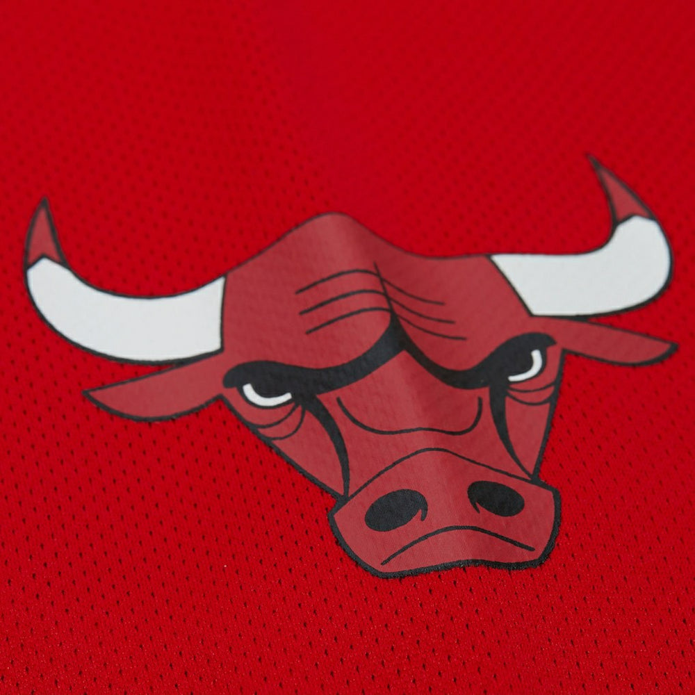 Dennis Rodman Chicago Bulls Unisex Maxxed Out Fashion Hockey Jersey sale - Red