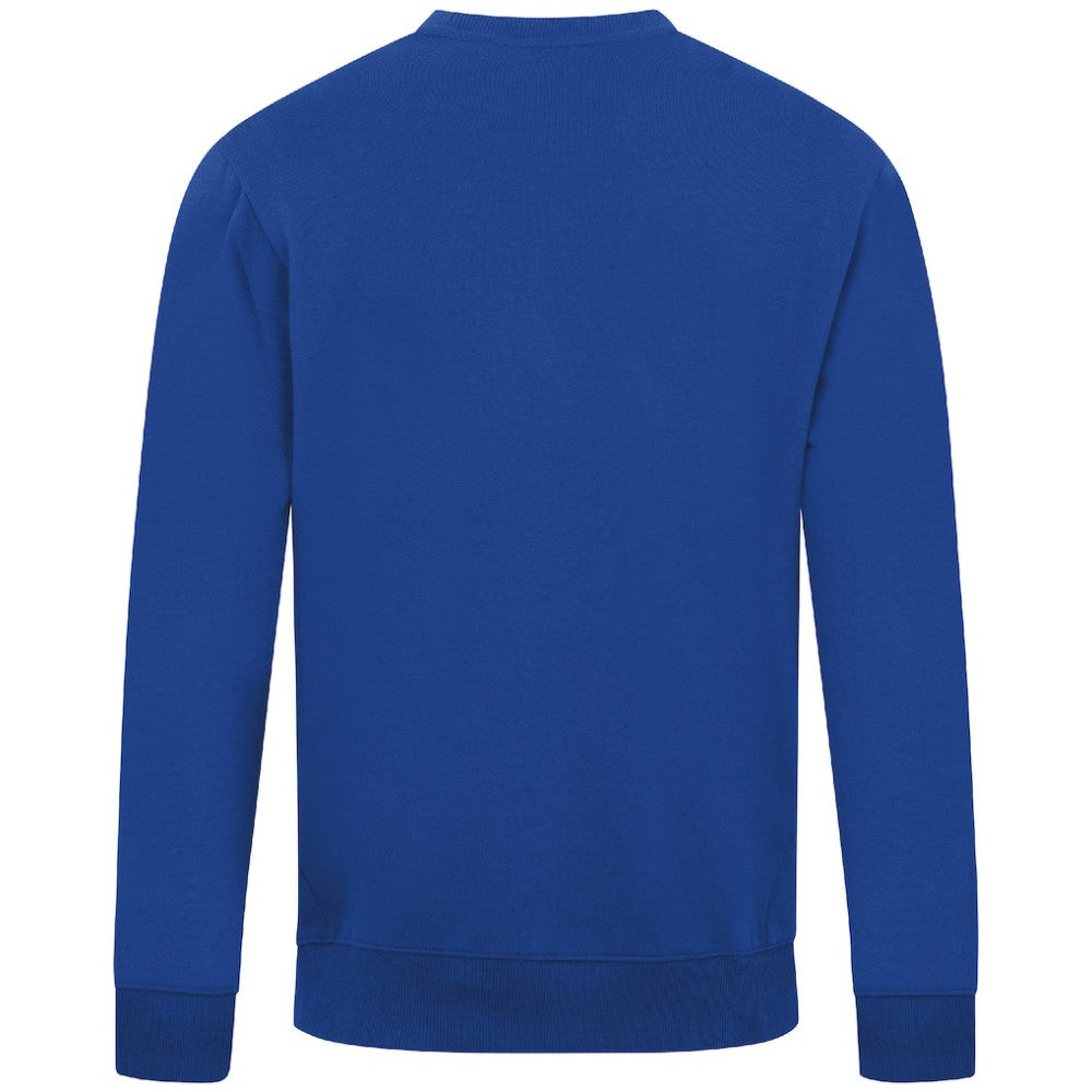 Chicago Cubs Levelwear Zane Banner Arch Sweatshirt Royal