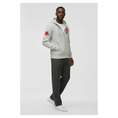 Boston Red Sox Champion Reverse Weave Chenille Full-Zip Hoodie Gray