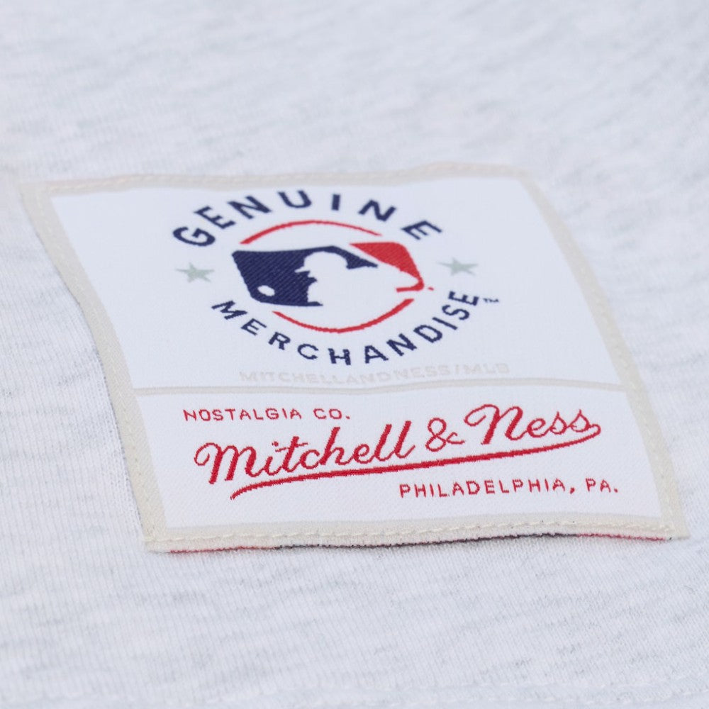 San Francisco Giants Women's Script Cropped Boxy T-Shirt Heather Gray | Mitchell & Ness