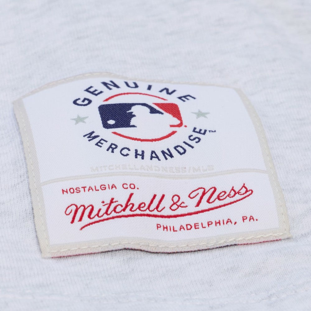 Los Angeles Dodgers Women's Script Cropped Boxy T-Shirt Heather Gray | Mitchell & Ness