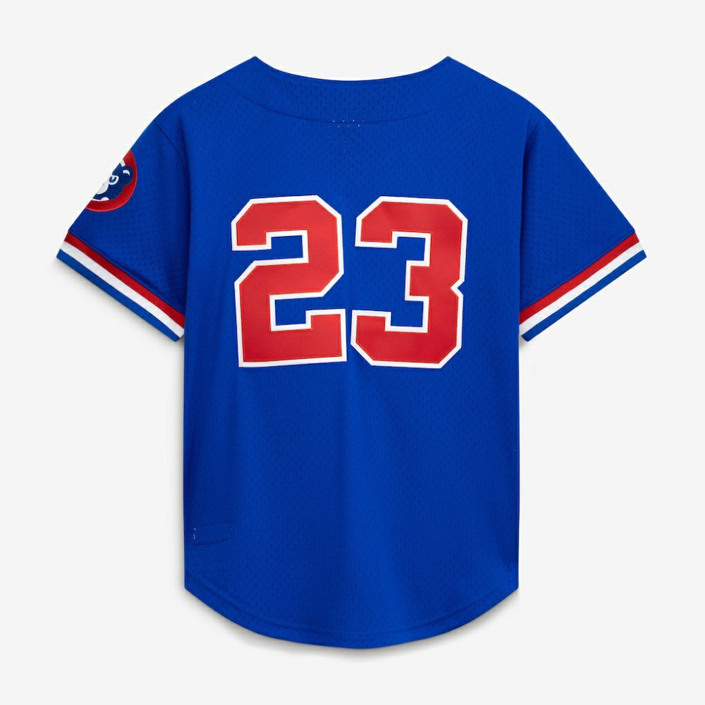 Ryne Sandberg Chicago Cubs Cooperstown Collection 1996 Mesh Batting Practice Button-Up Jersey Royal | Mitchell & Ness